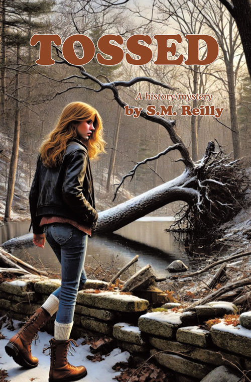 Book Cover